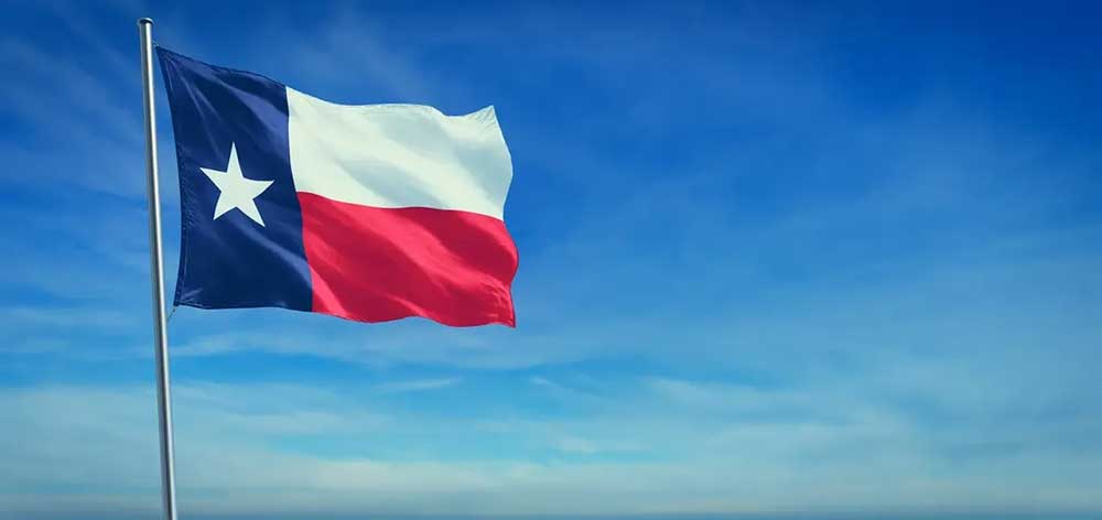 texas winter freeze flag